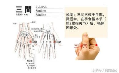 三間穴位置|三間穴可改善咽喉腫痛,扁桃腺炎,落枕及肩周炎